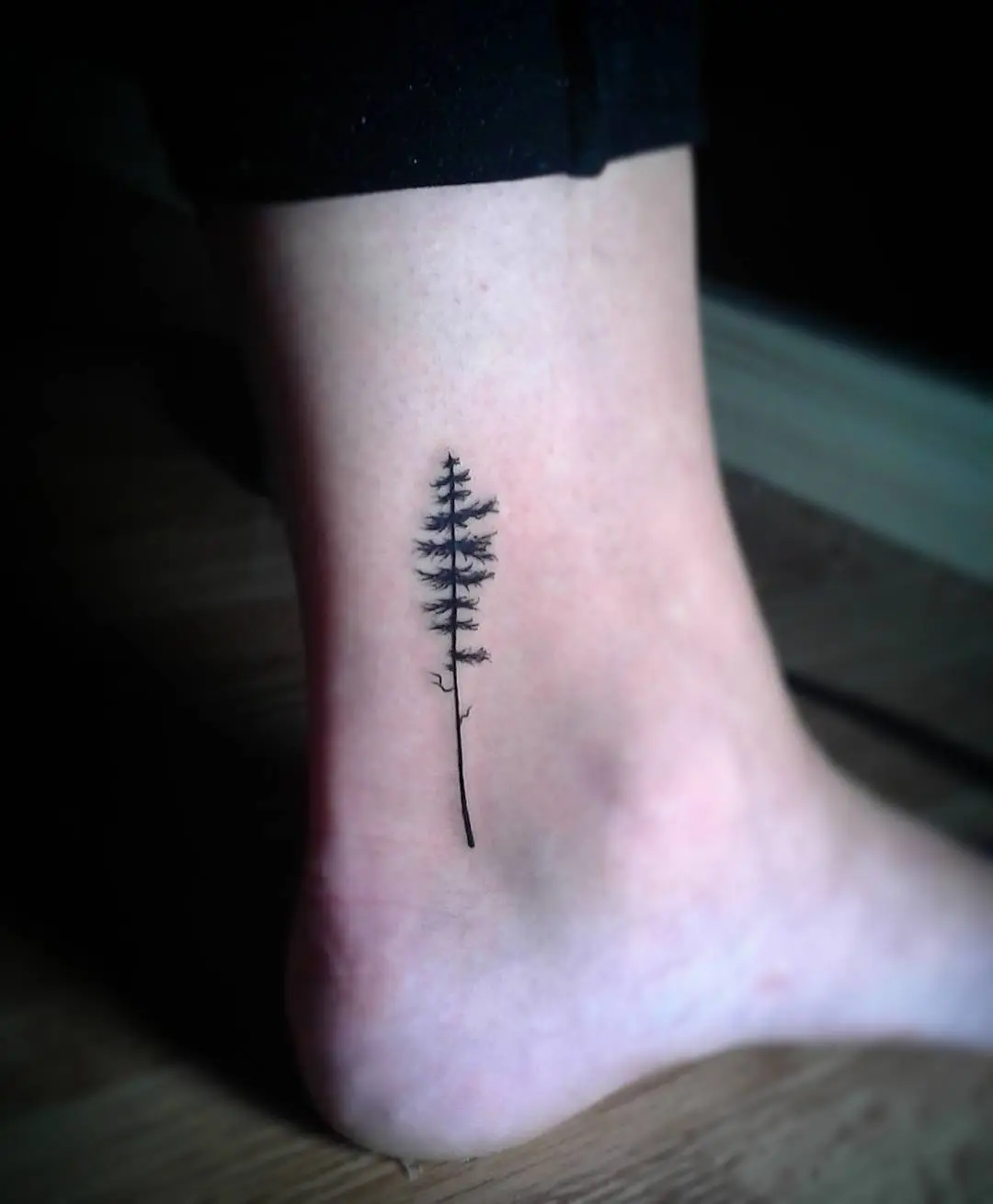 Elegant minimalist redwood tree ankle tattoo