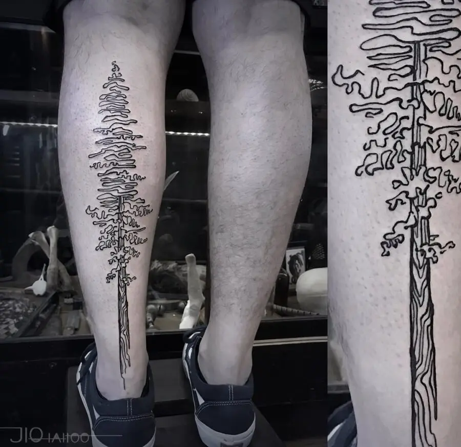 Stunning minimalist redwood tree leg tattoo