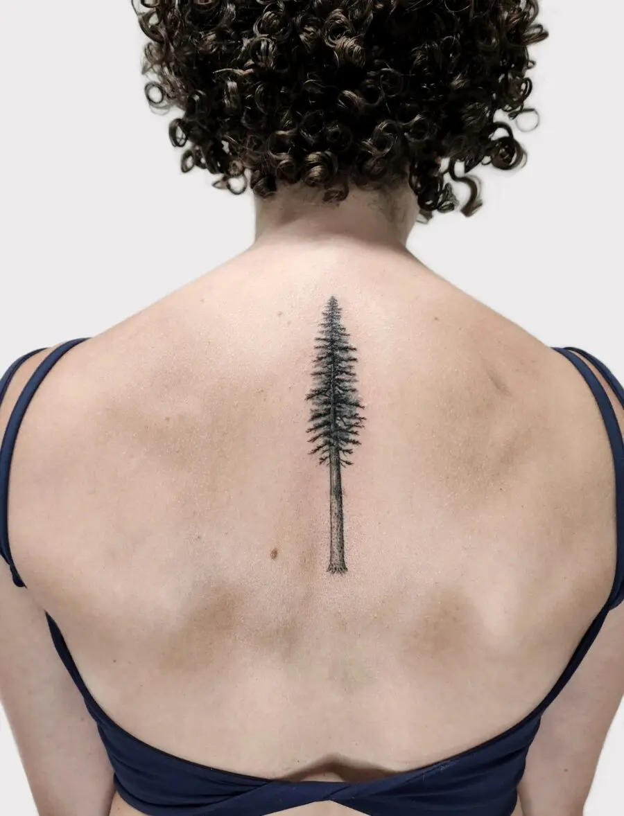 Elegant redwood tree tattoo on the back