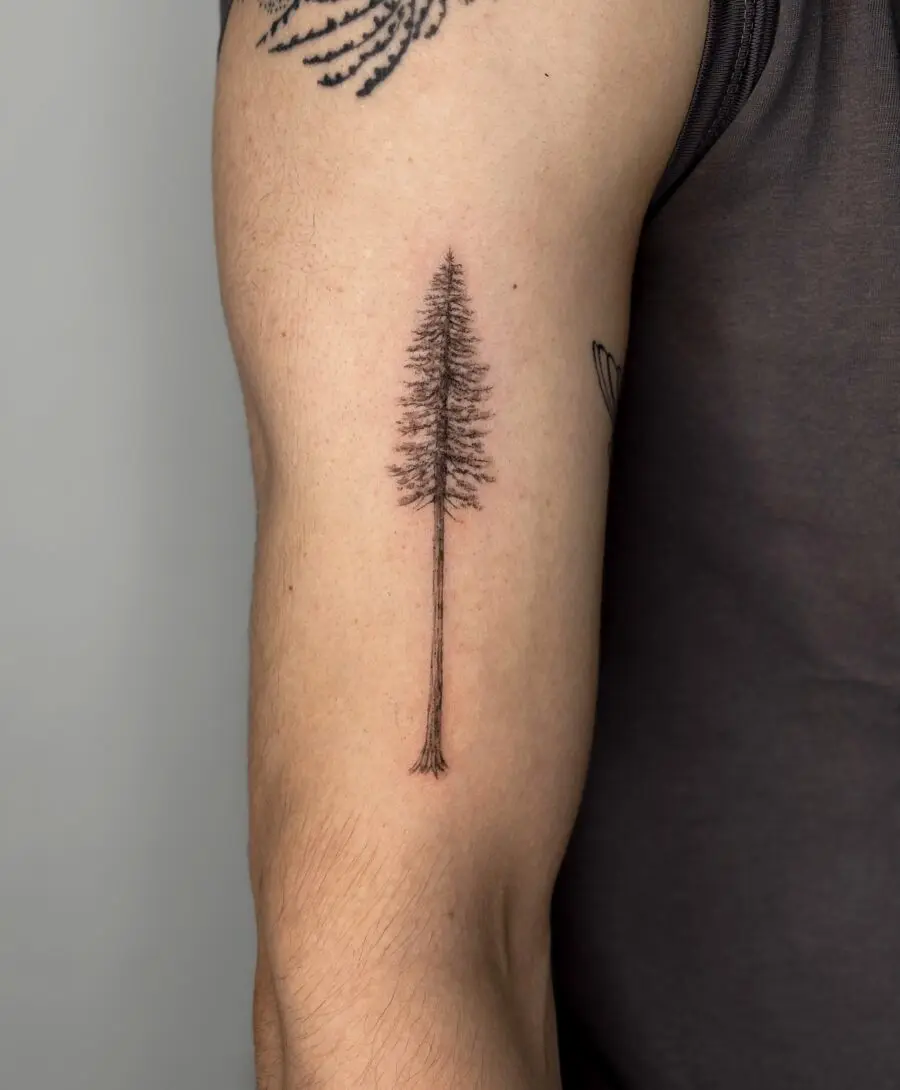 Elegant Minimalist Redwood Tattoo on Forearm