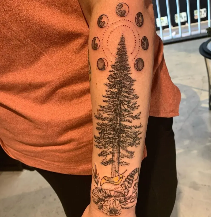 Intricate Redwood Tree with Moon Phases