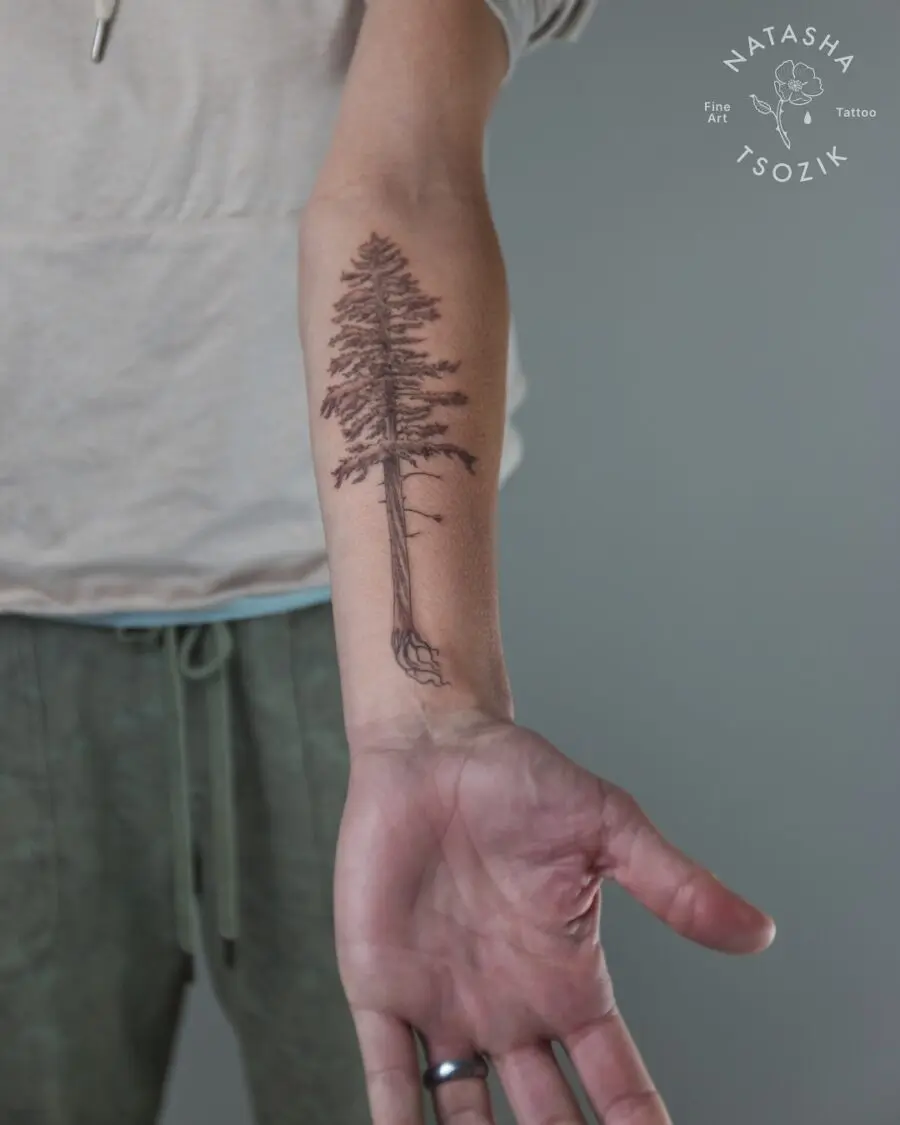 Elegant redwood tree tattoo on the arm