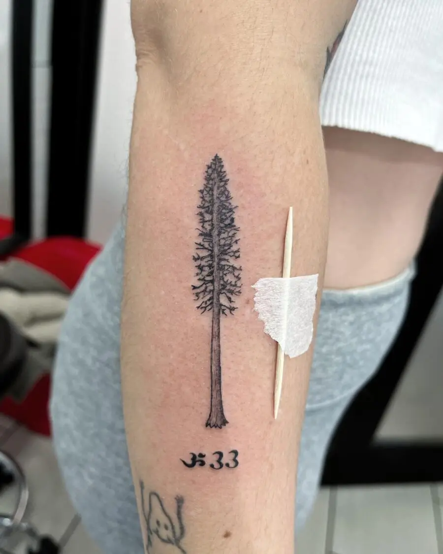 Elegant redwood tree tattoo on the forearm