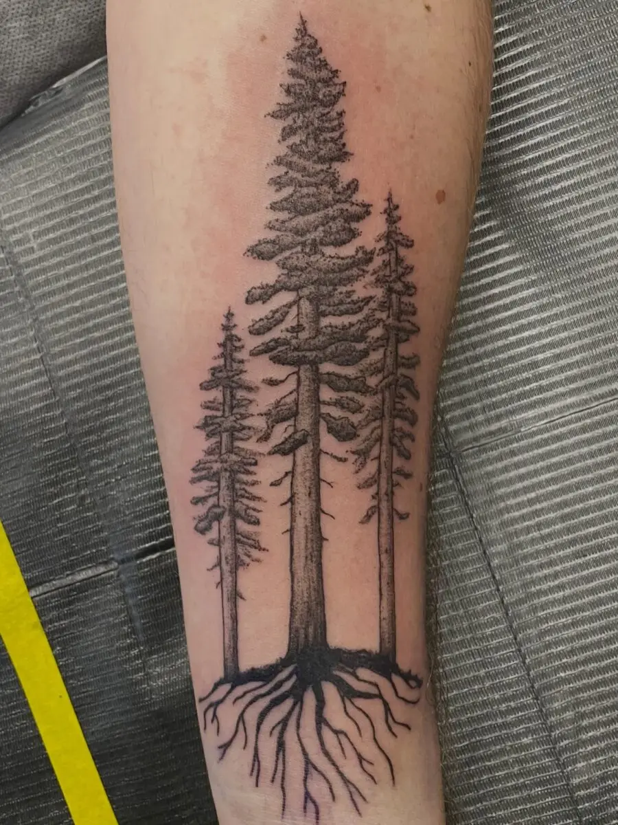 Elegant black and grey redwood tree tattoo