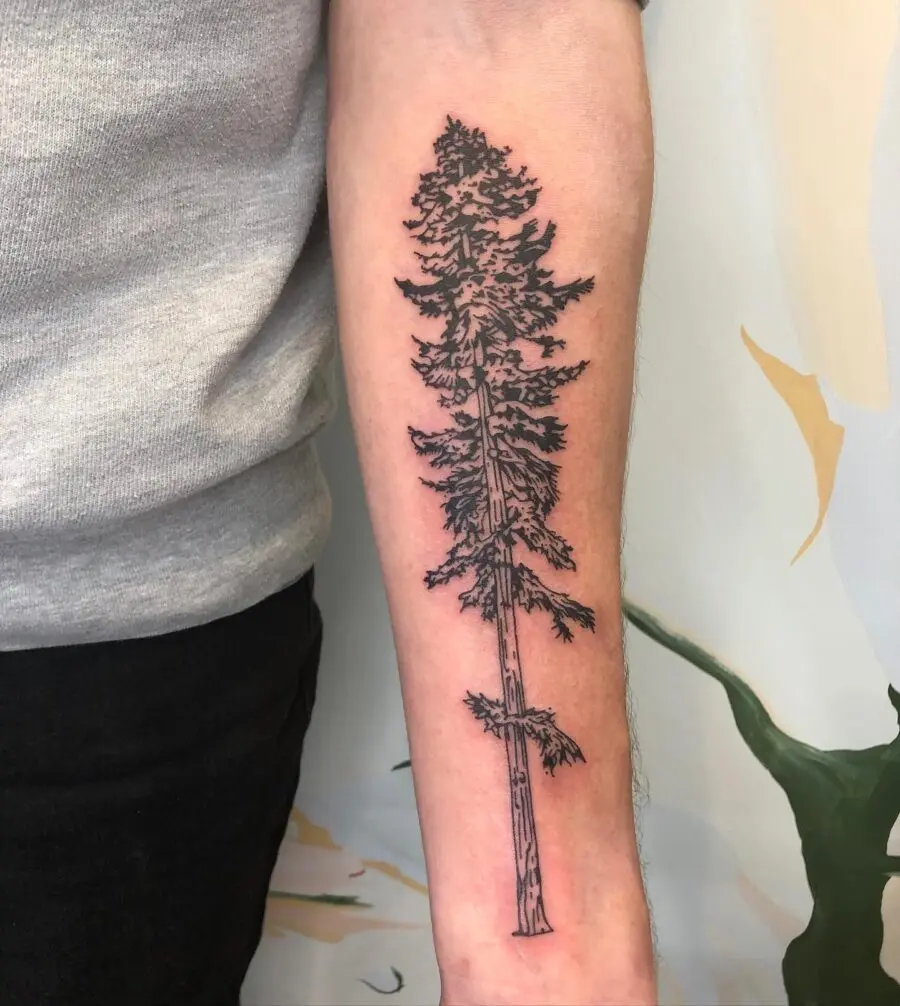 Elegant black ink redwood tree tattoo design