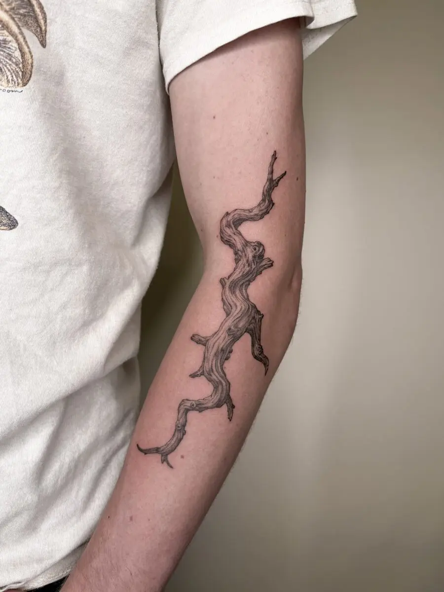 Stylish redwood tree branch tattoo design