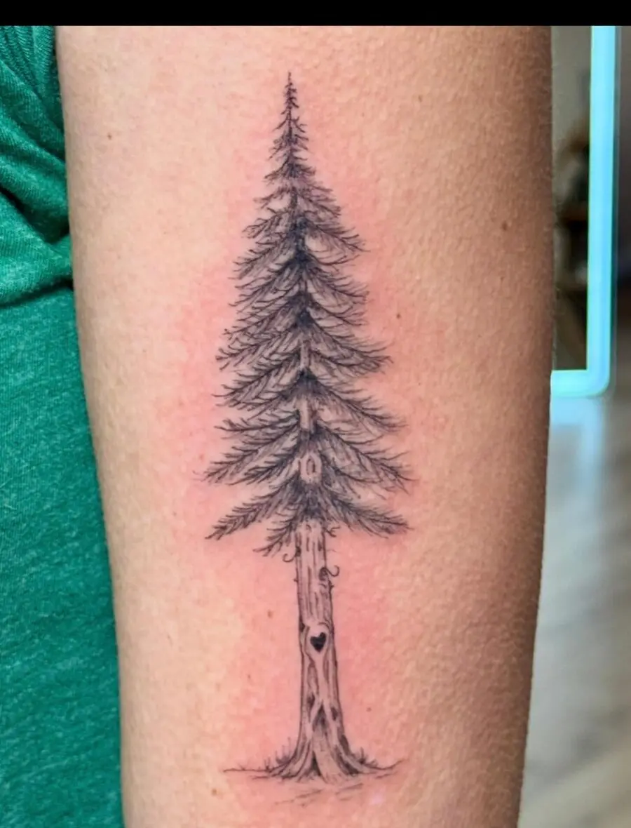 Elegant redwood tattoo with intricate details