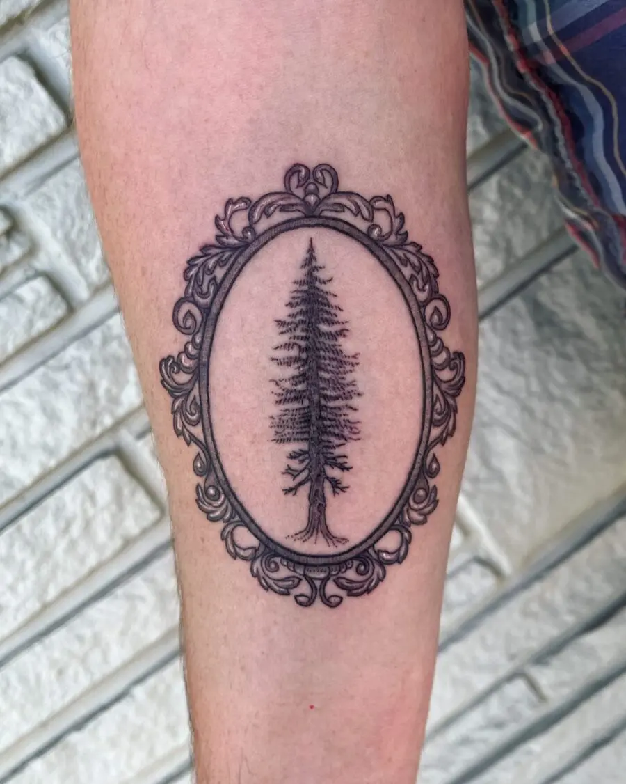 Intricate framed redwood tree tattoo design