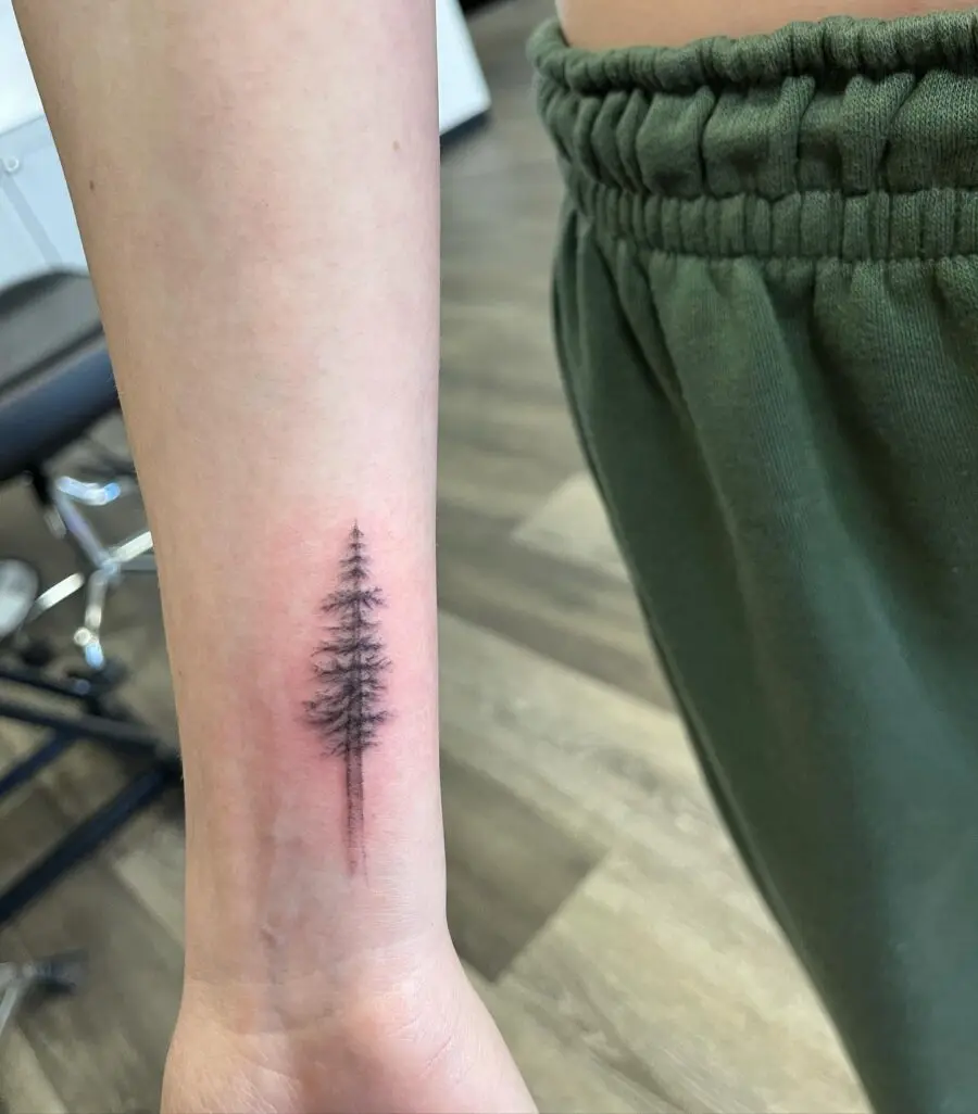 Minimalist Redwood Tree Tattoo Elegance