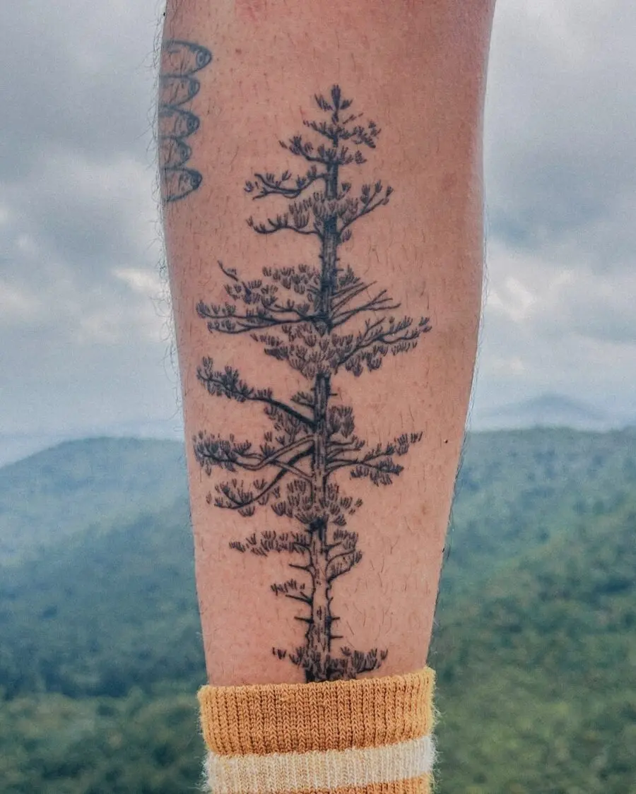 Elegant redwood tattoo on a scenic backdrop