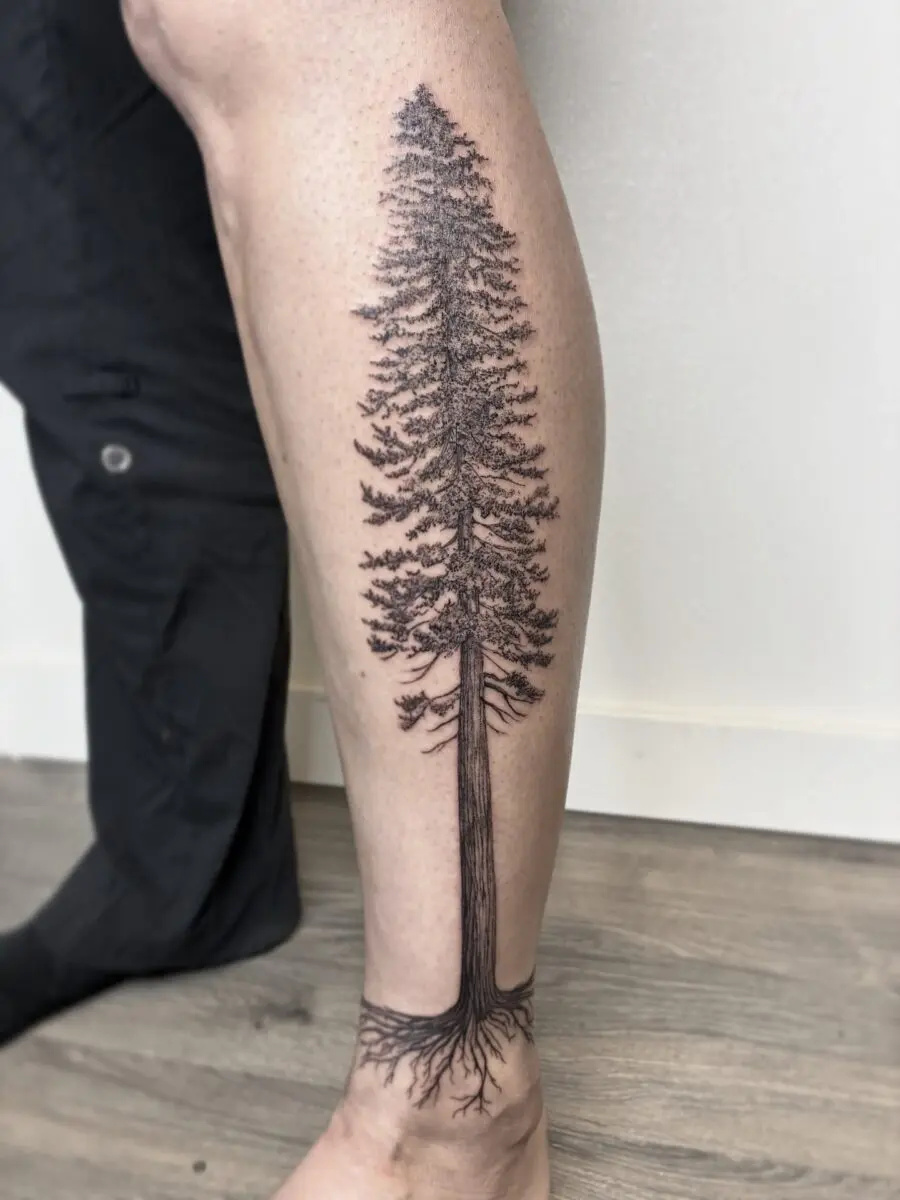 Stunning realist redwood tree tattoo on leg
