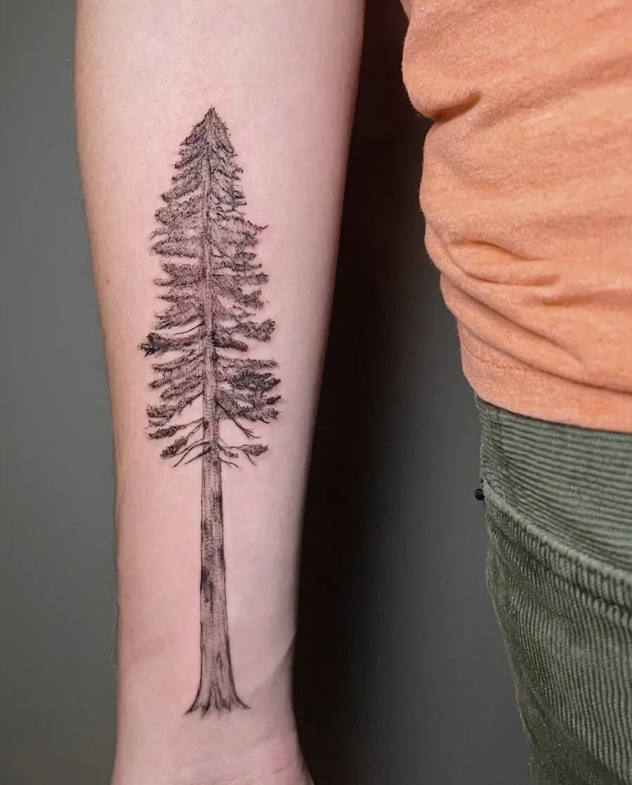 Stunning redwood tree tattoo on forearm