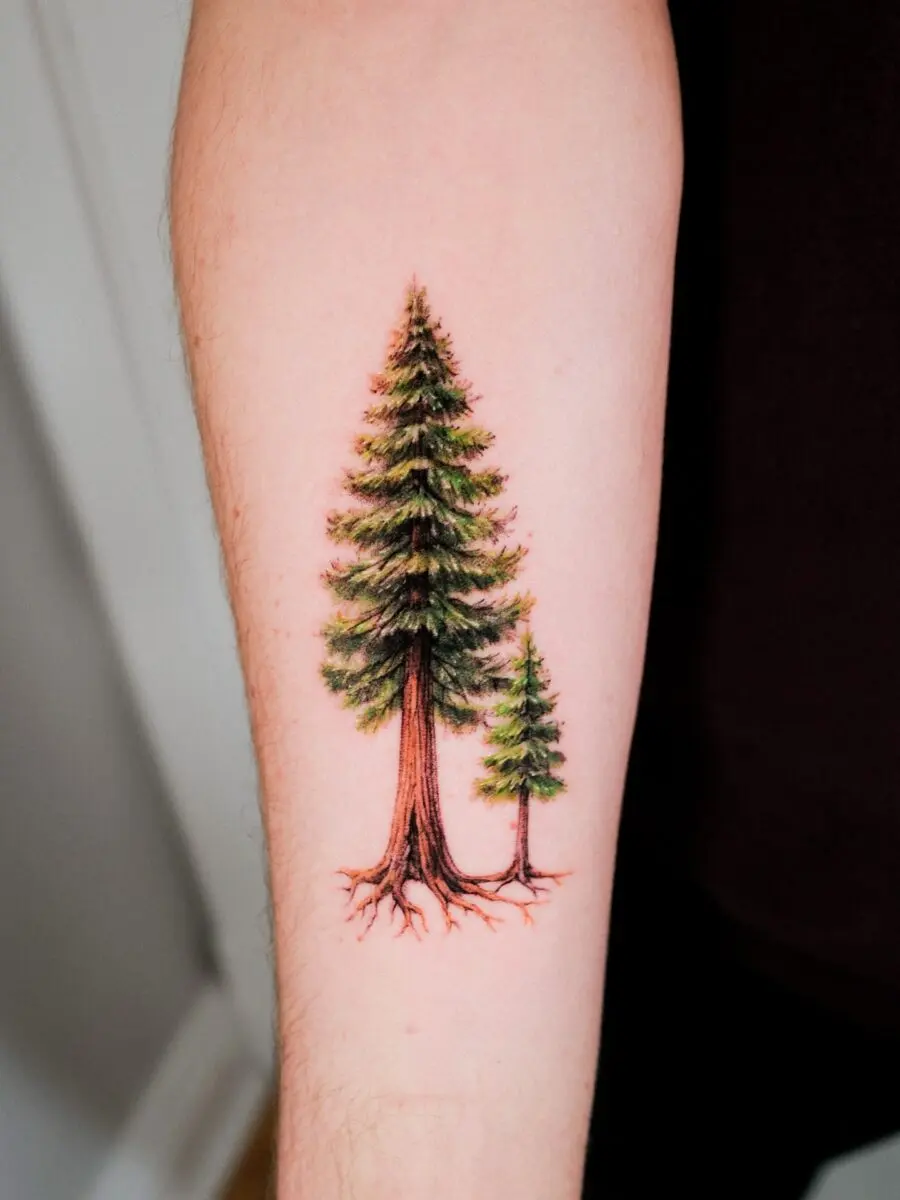Vibrant redwood tree tattoo design with detail