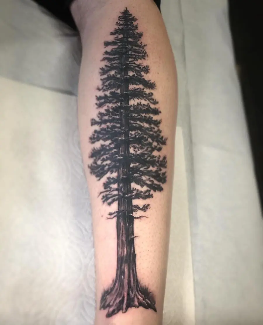 Stunning Redwood Tree Tattoo on Leg
