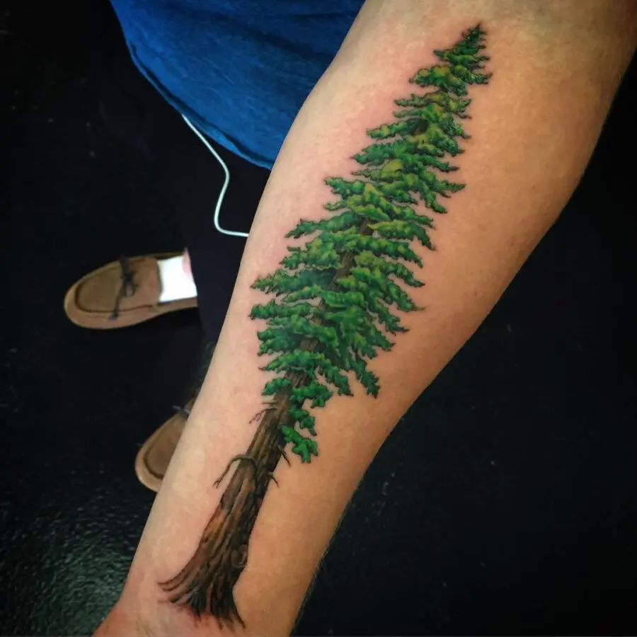 Stunning redwood tree tattoo on forearm