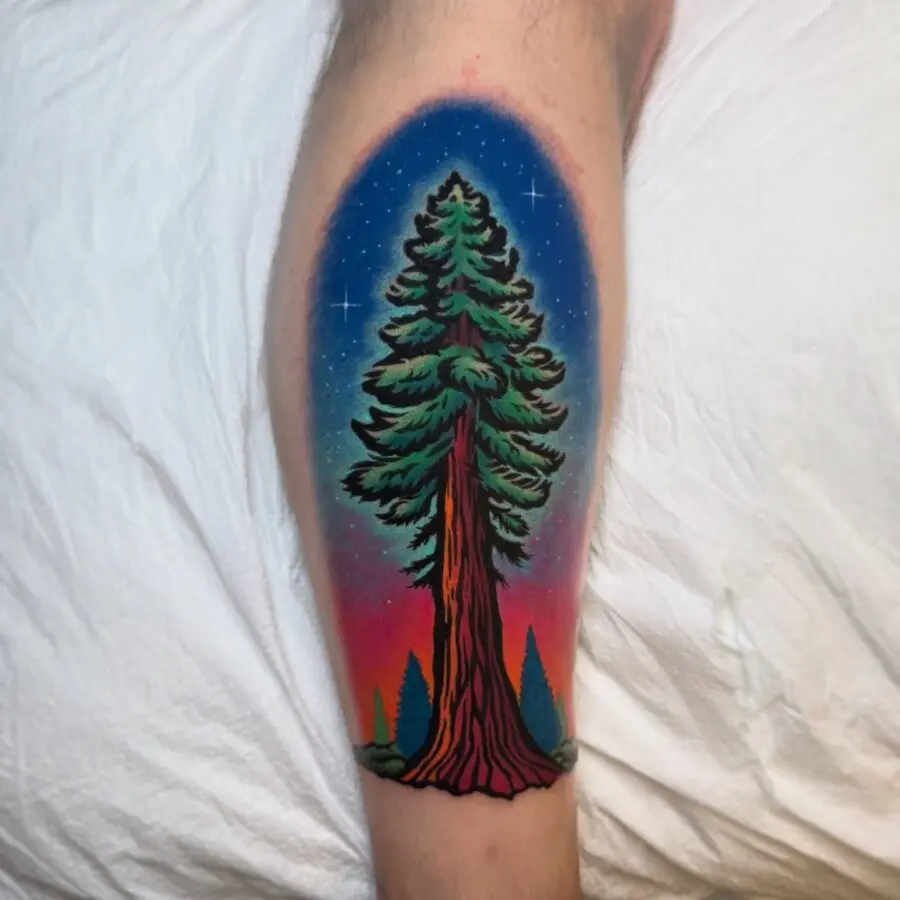Captivating vibrant redwood tree tattoo inspiration