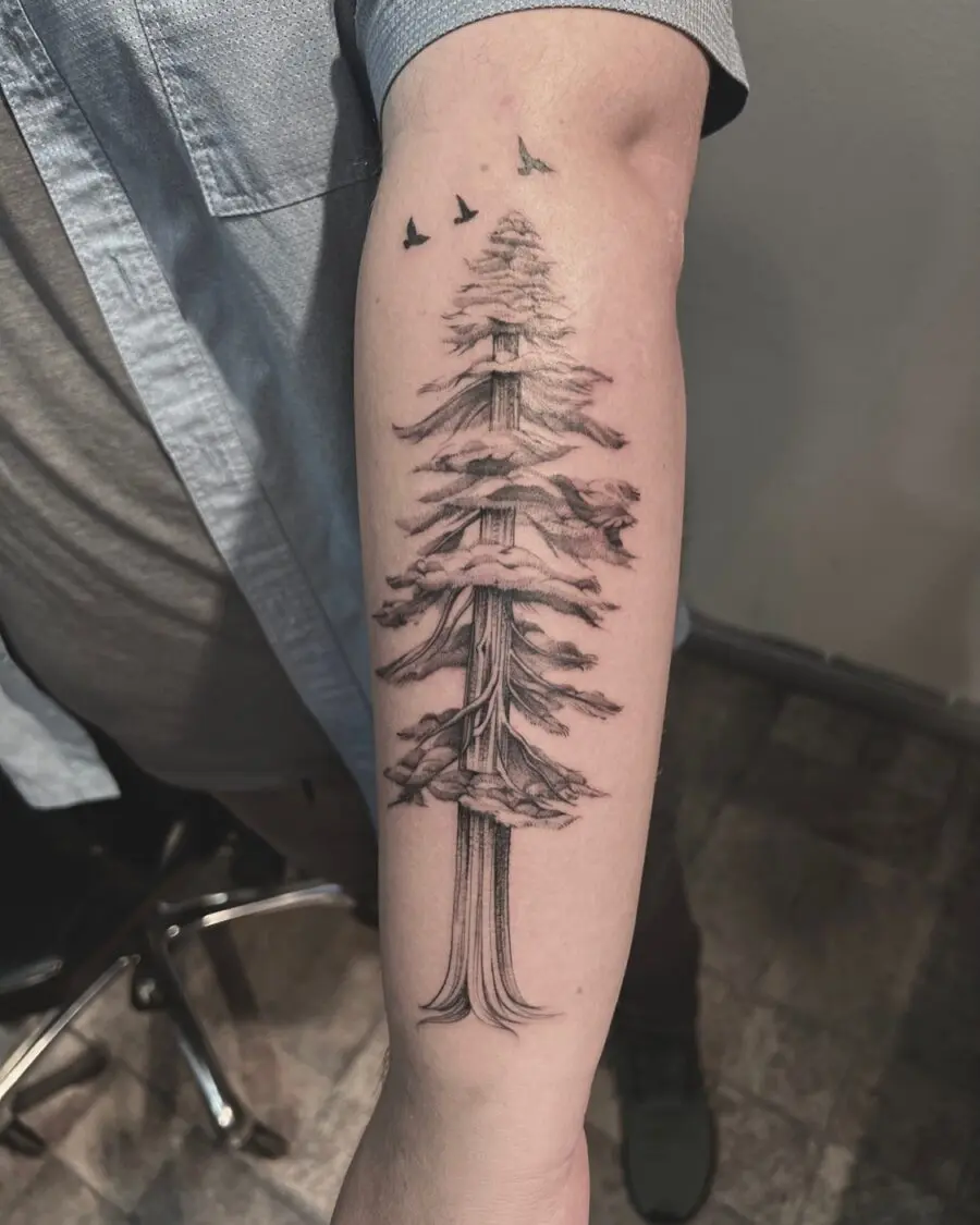 Intricate redwood tree tattoo with flying birds