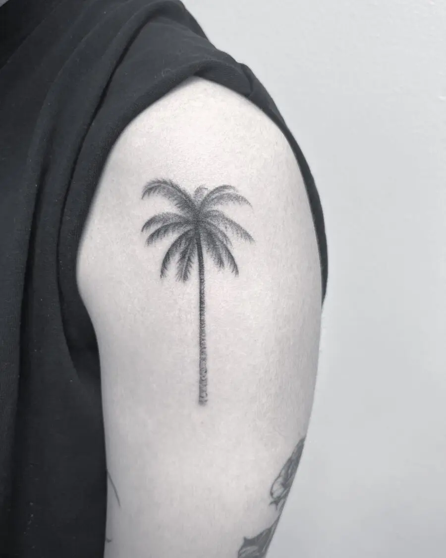 Elegant palm tree tattoo on the arm