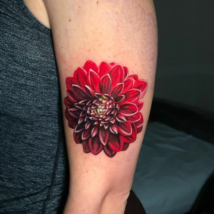 Stunning red dahlia tattoo on the arm