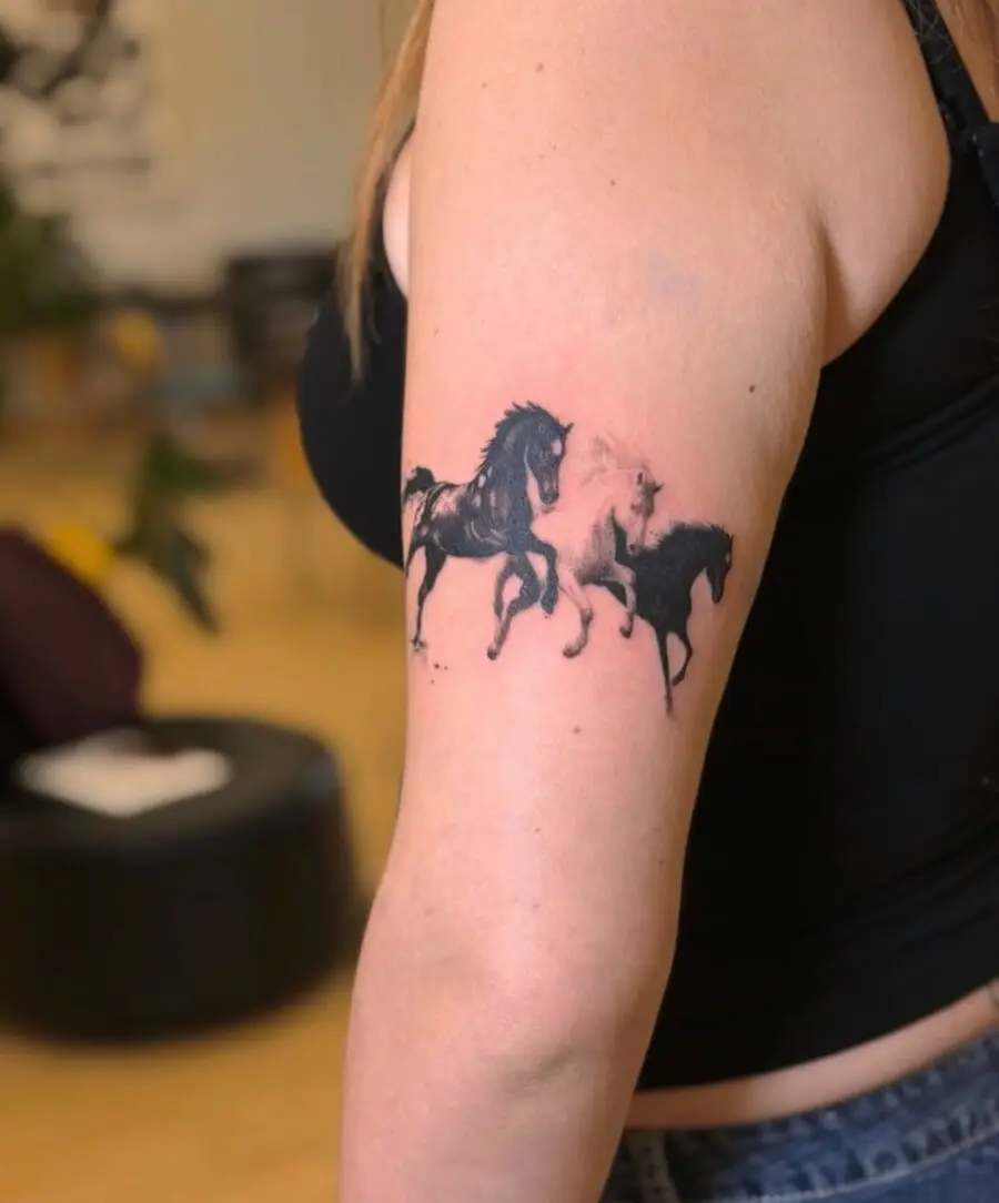 Dynamic horses showcasing movement and grace