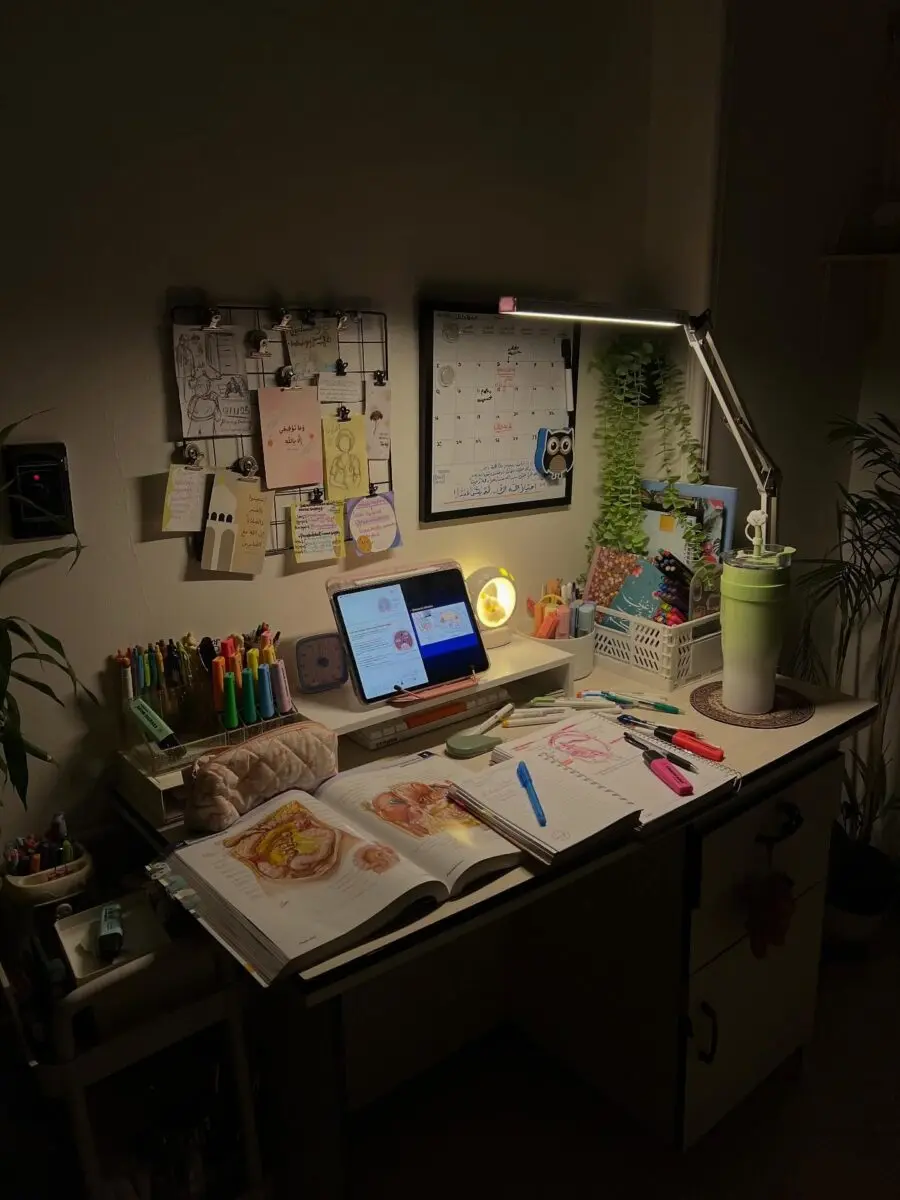 Inspiring study desk with vibrant decor elements
