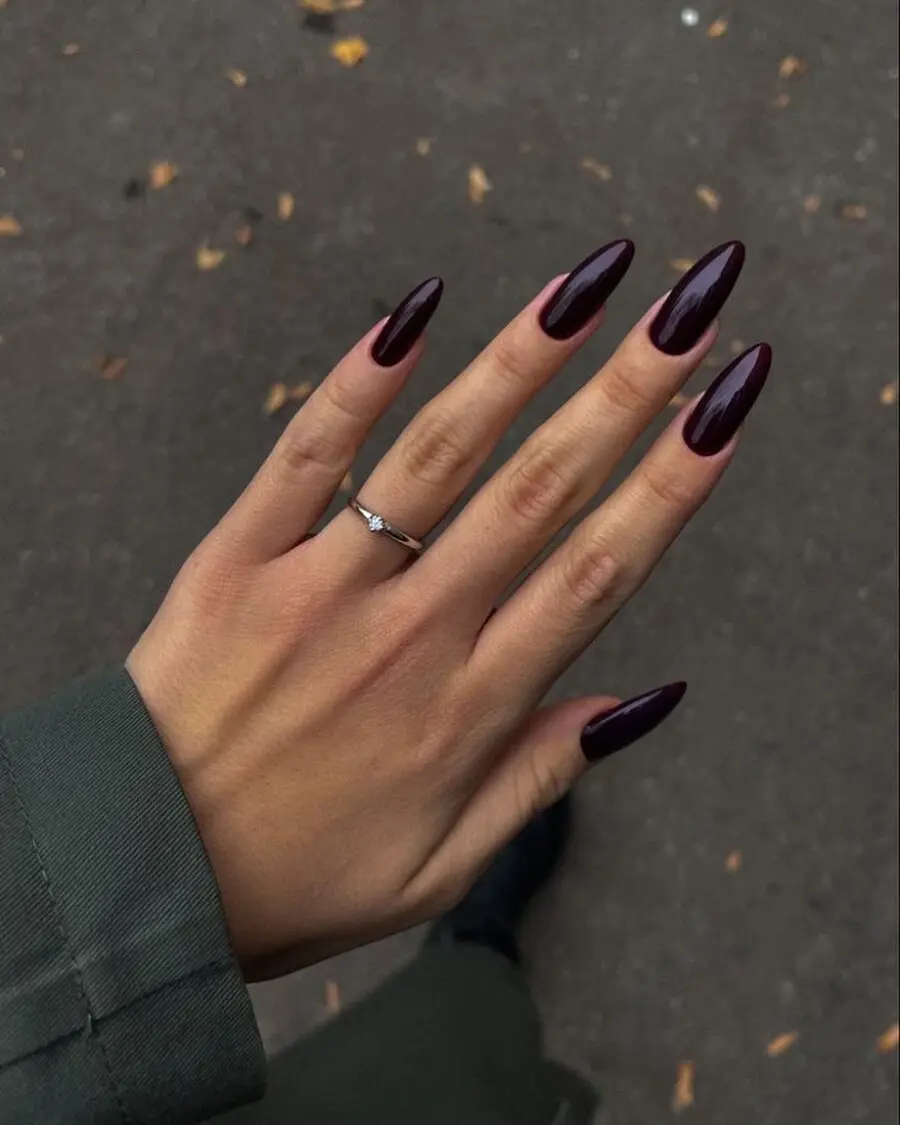 Elegant dark feminine nails with vampy vibes