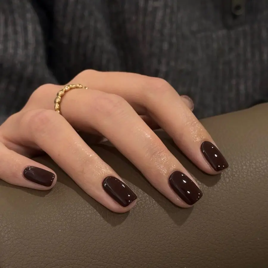 Luxurious dark chocolate nail elegance