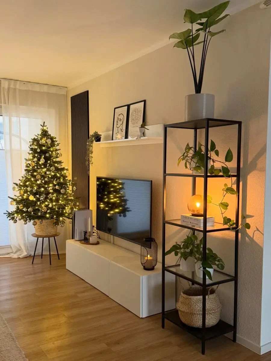 Cozy modern TV unit with greenery accents