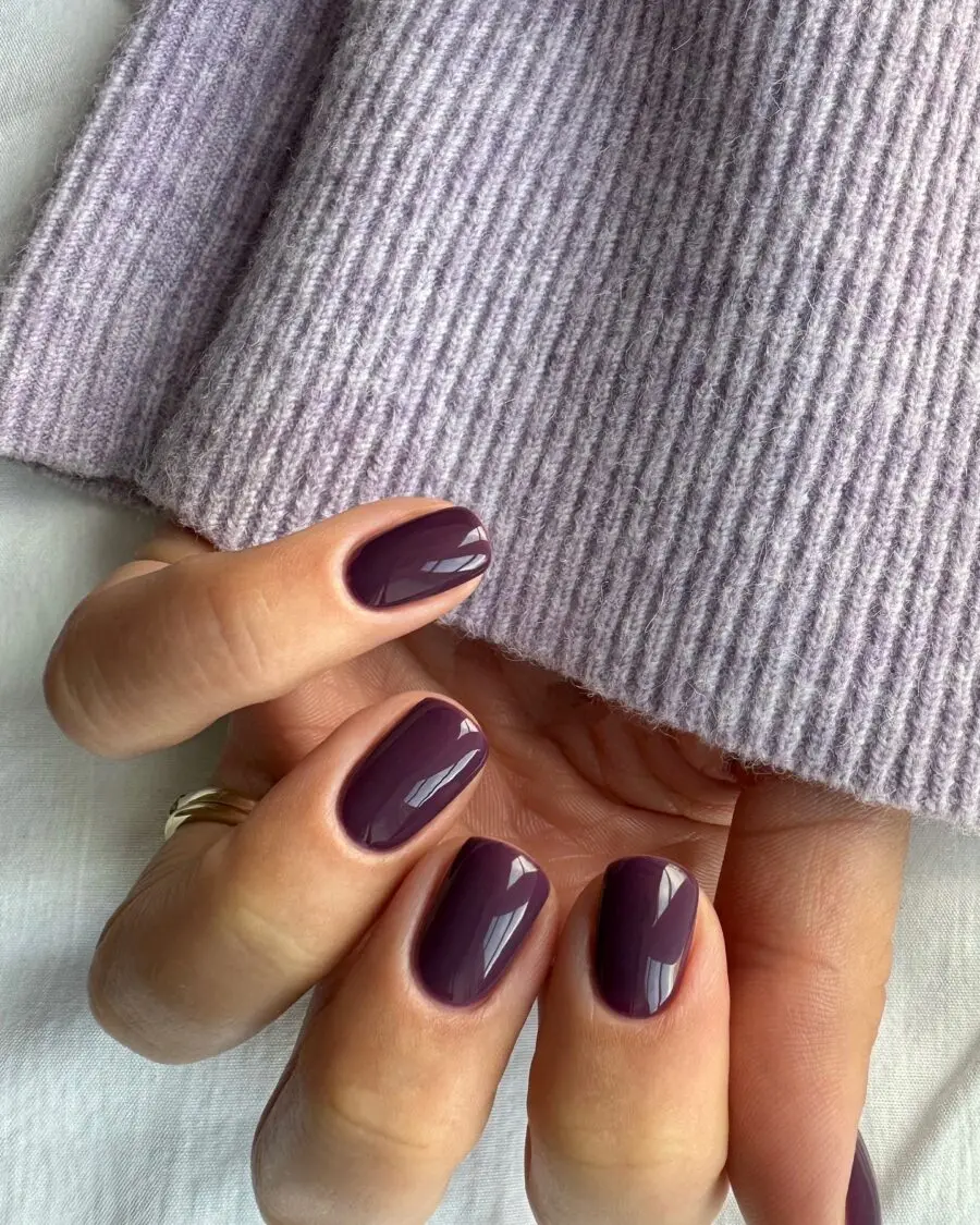 Chic dark purple nails for fall elegance
