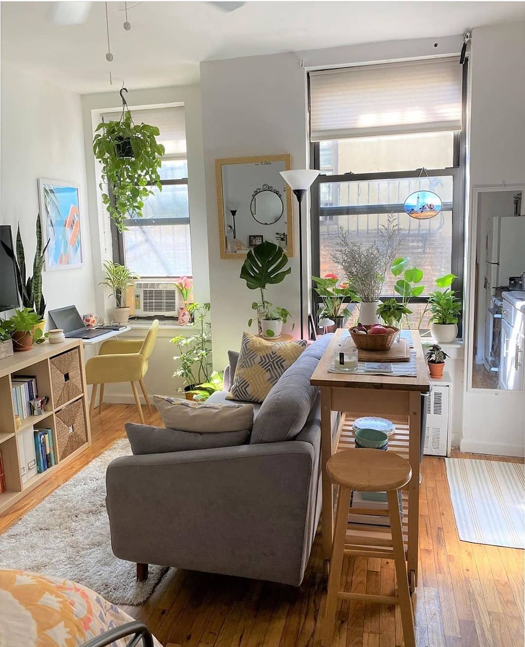 Charming small living room with vibrant plants