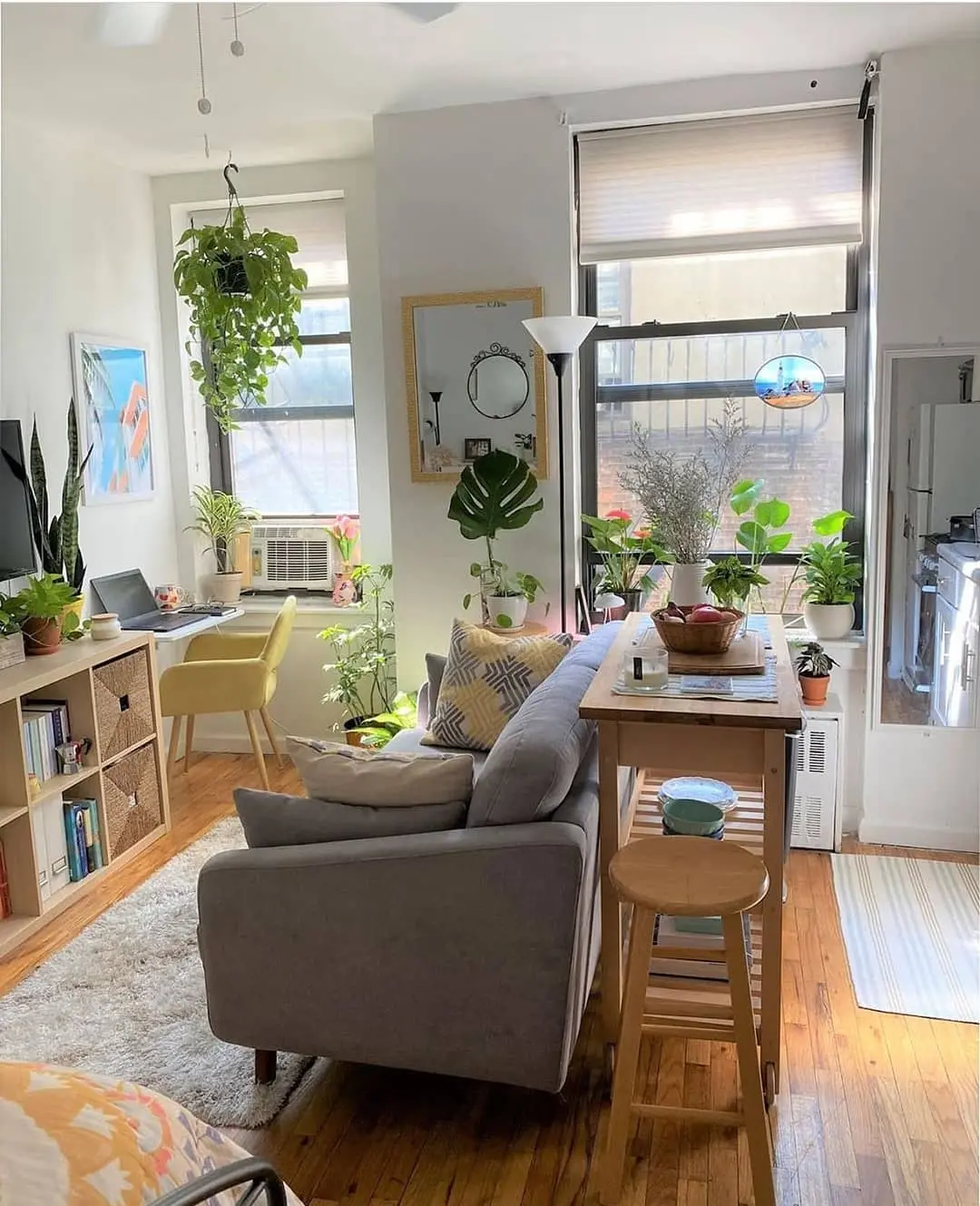 Charming small living room with vibrant plants