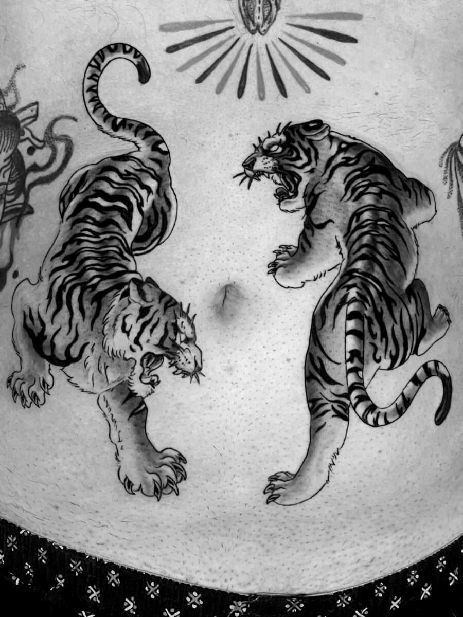 Fierce tigers in a dynamic stomach tattoo design