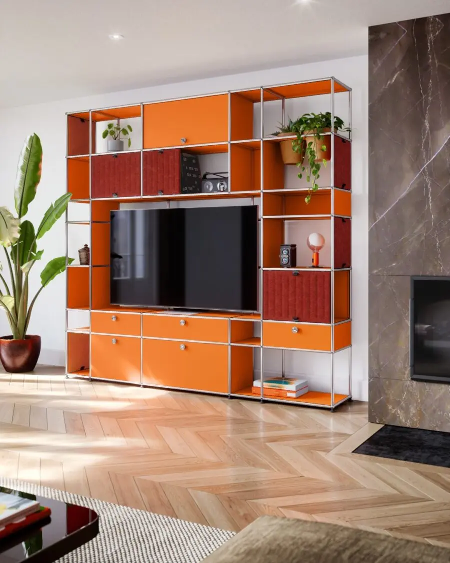 Vibrant and Functional TV Unit Design