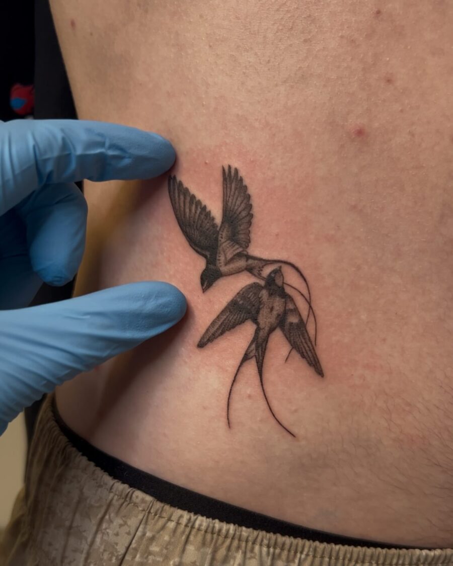 Eloquent swallow tattoo design on the stomach