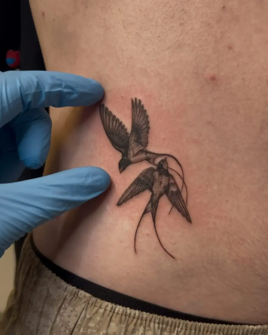 Eloquent swallow tattoo design on the stomach