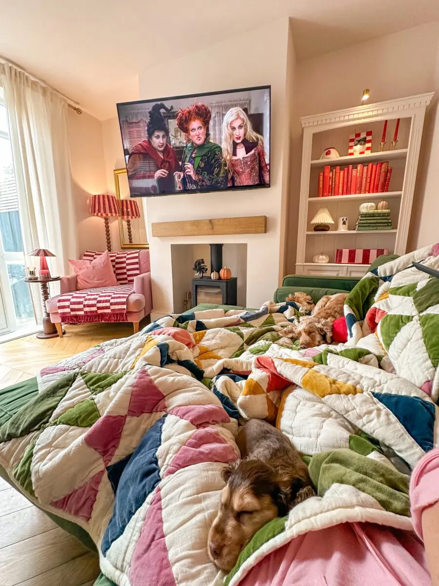 Cozy living room with a touch of whimsy
