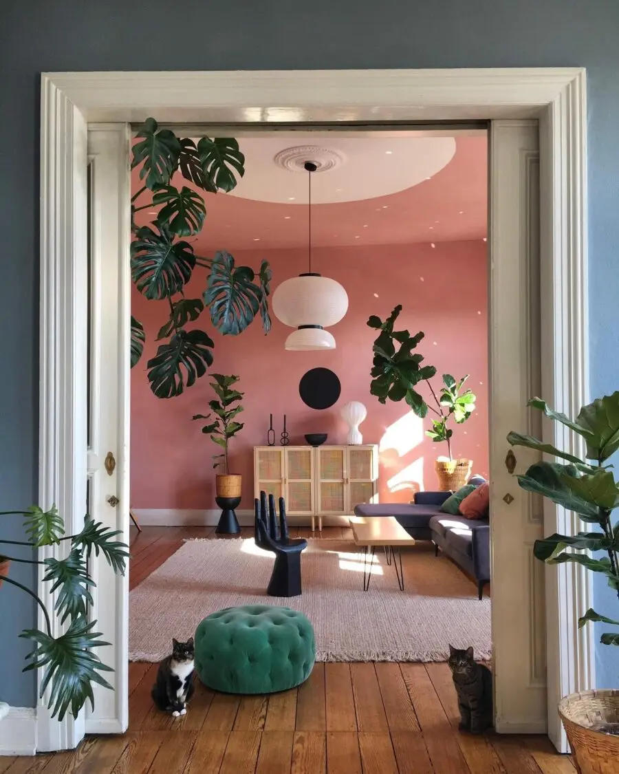 Vibrant eclectic decor with plants and colors