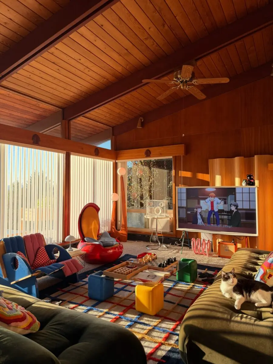 Colorful Mid-Century Modern Living Room Vibes
