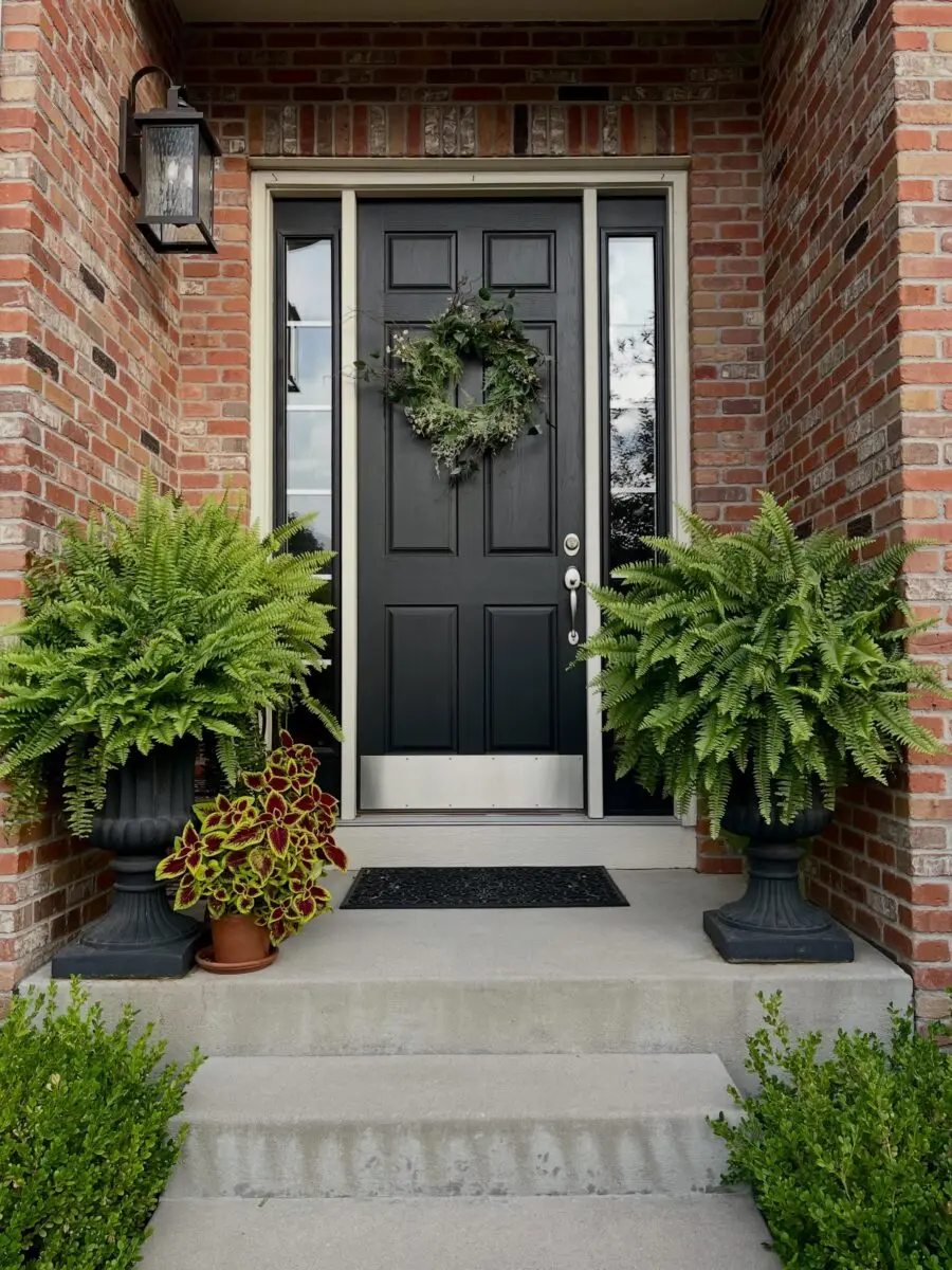 Charming Entry with Black Door and Ferns