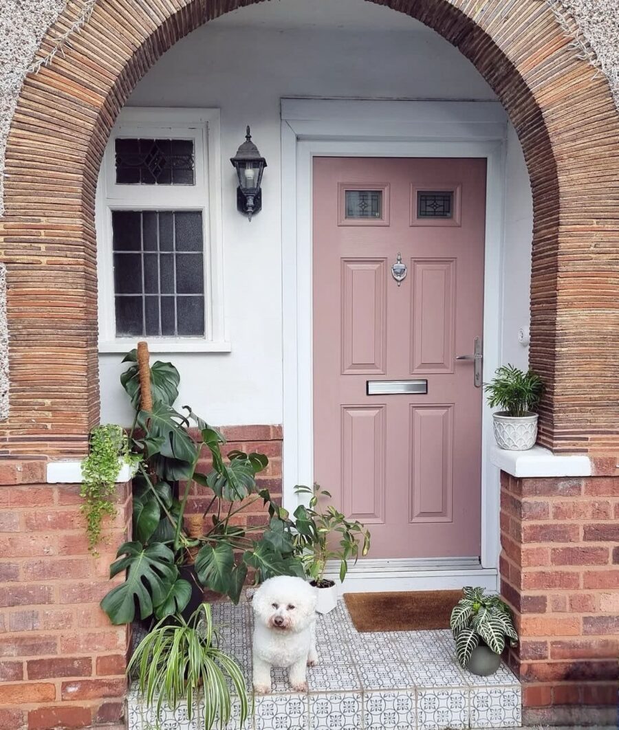 Charming pink door with vibrant greenery