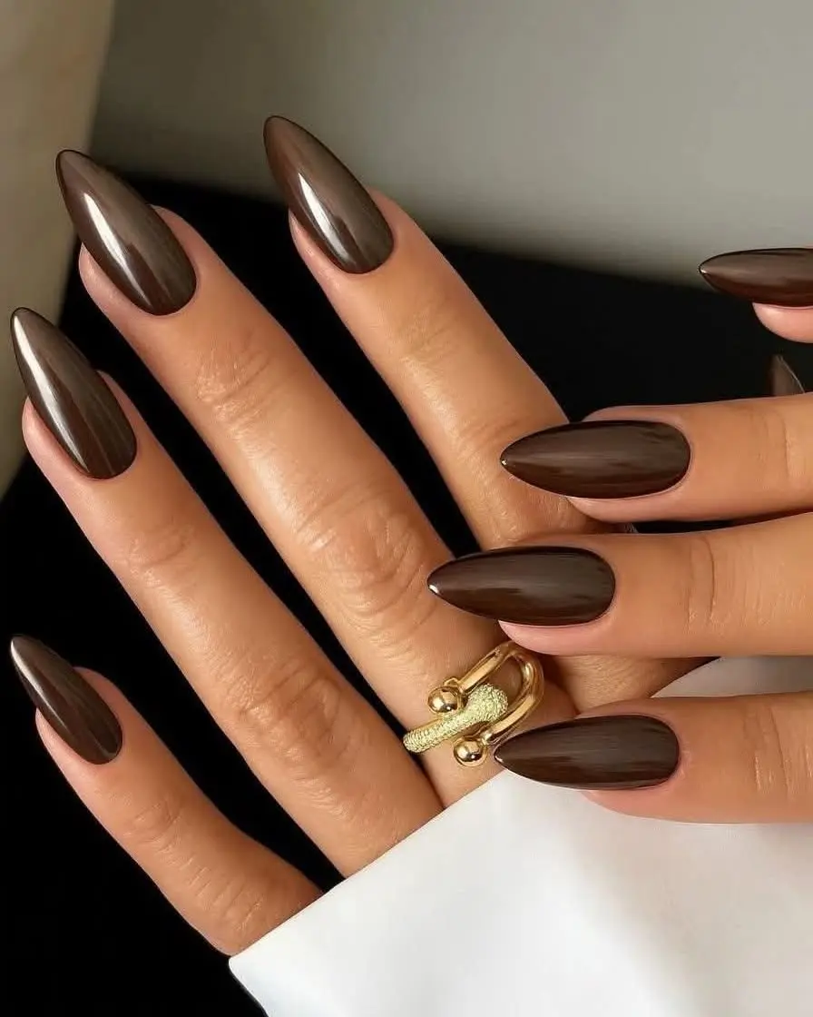 Sleek and glossy chocolate stiletto nails.