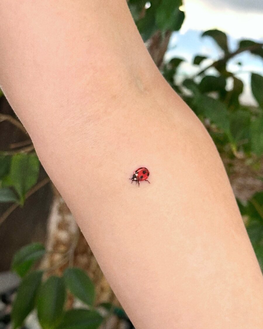 Charming Ladybug Tattoo in a Subtle Spot