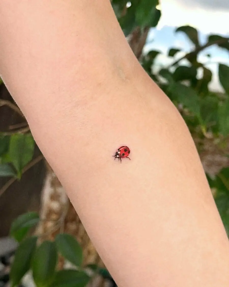 Charming Ladybug Tattoo in a Subtle Spot