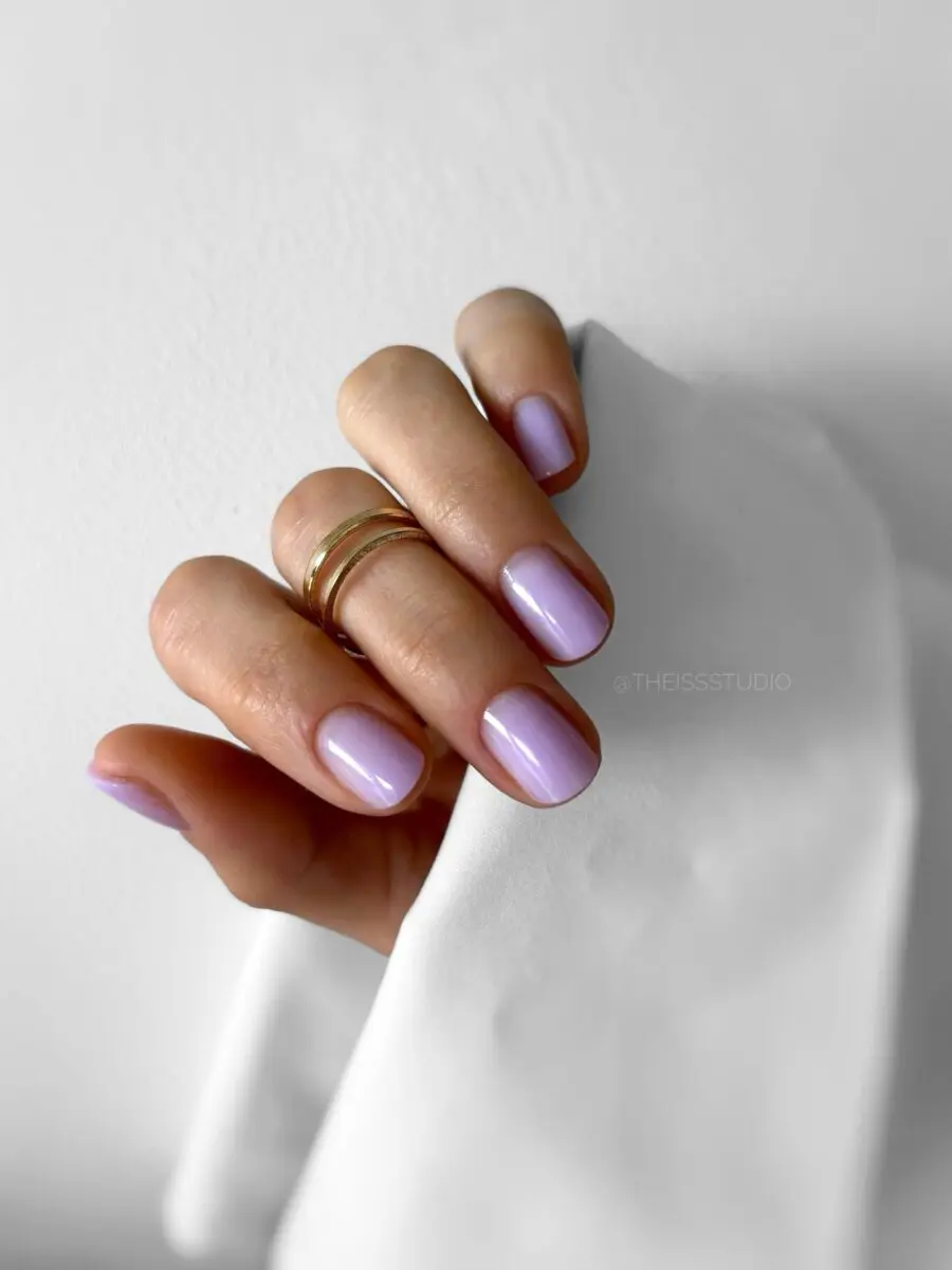 Chic Minimalist Purple Nail Design