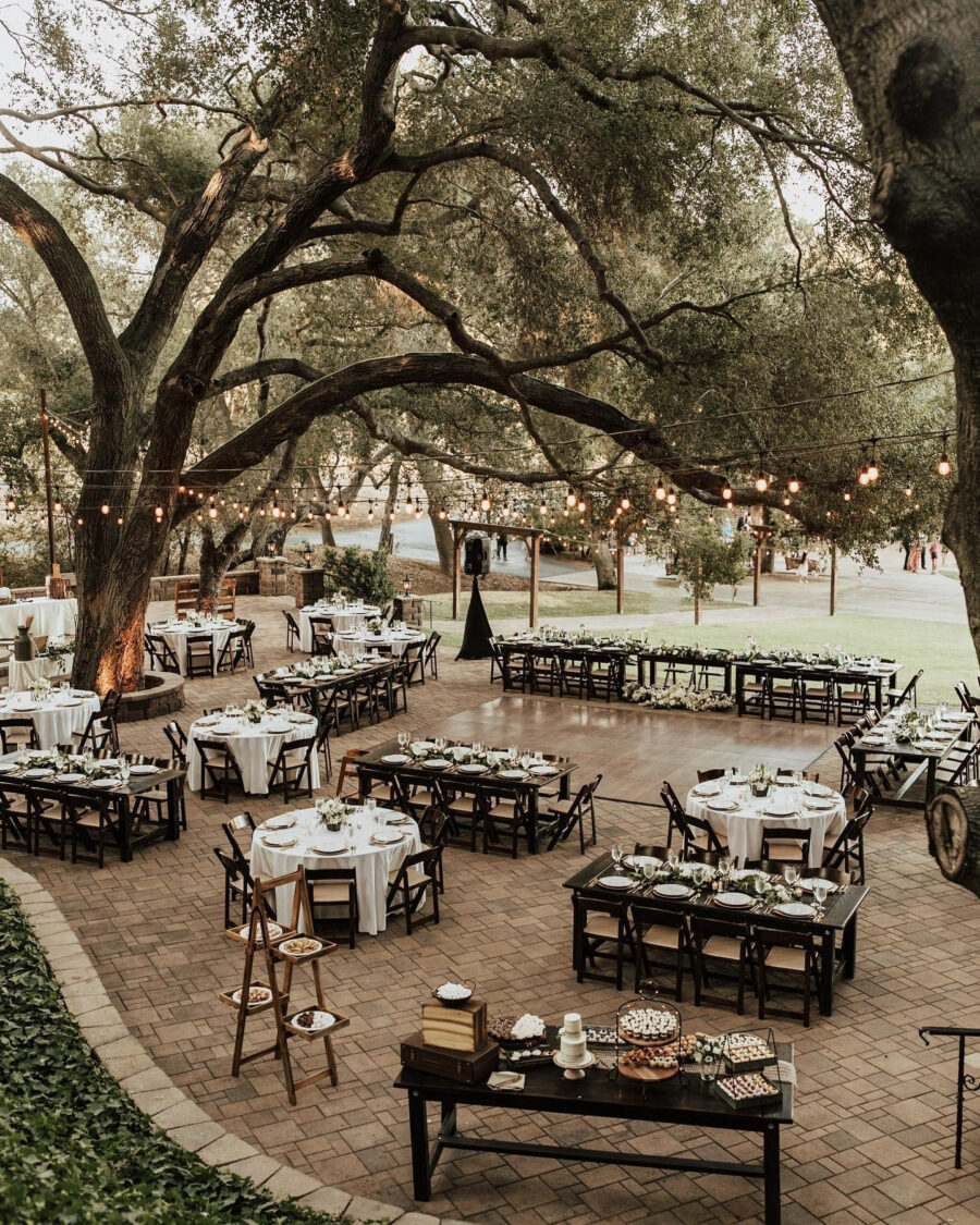 Charming outdoor reception under twinkling lights