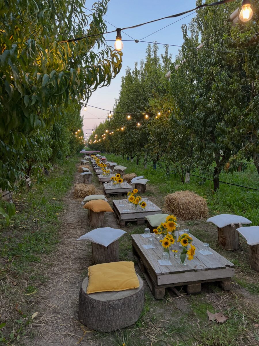 Charming outdoor setup with rustic charm