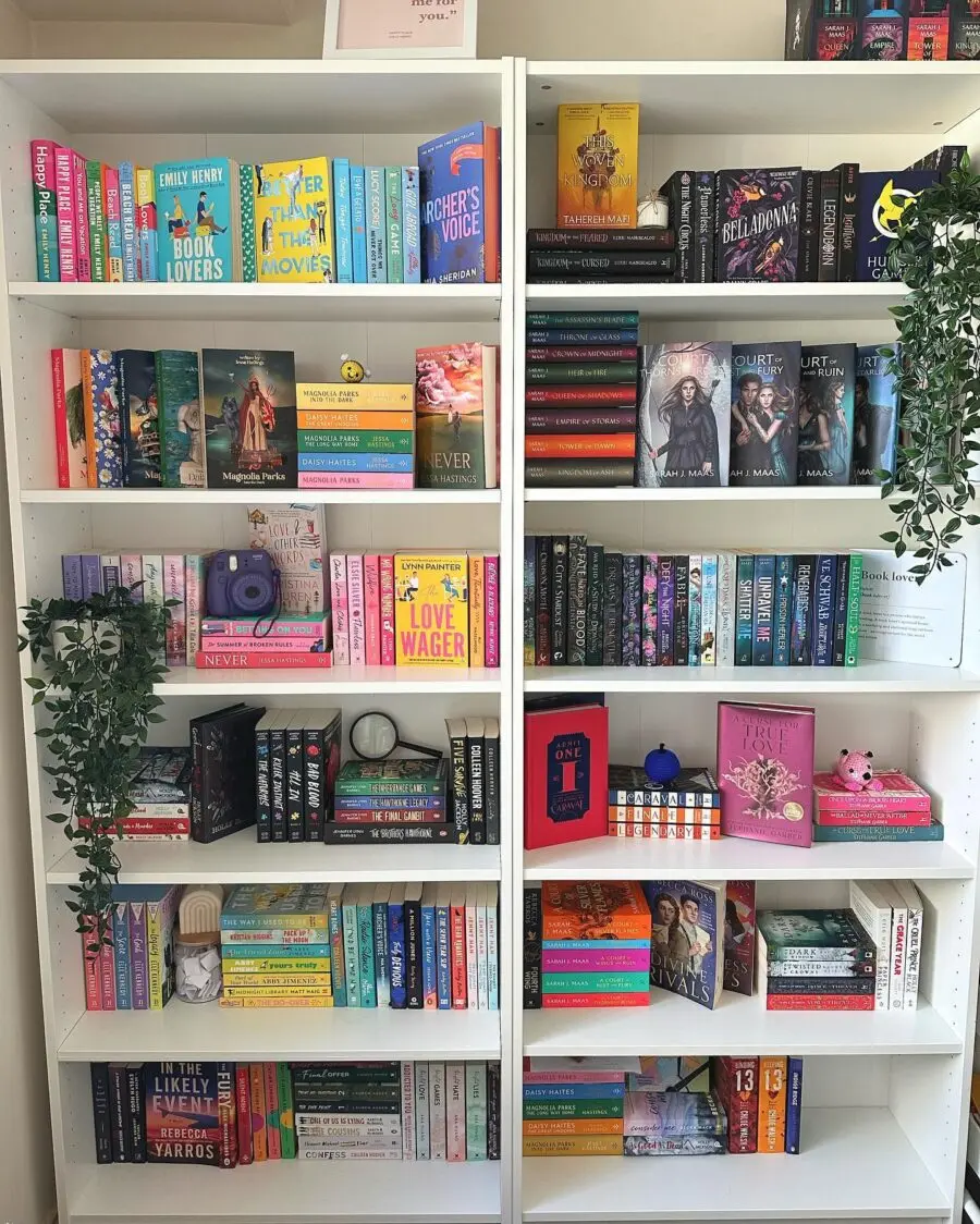 Vibrant shelves brimming with colorful literature