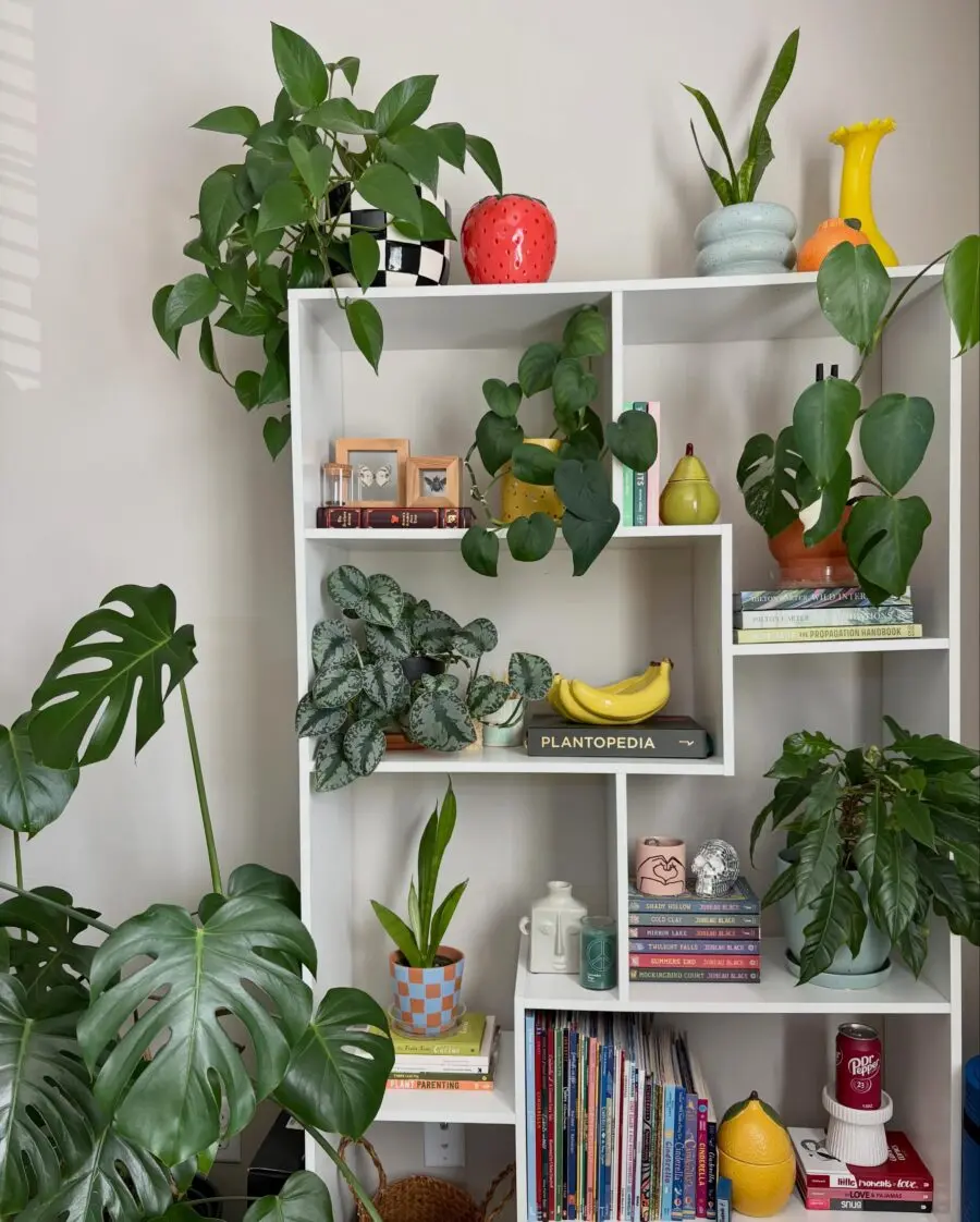 Lively shelf adorned with vibrant plants and decor
