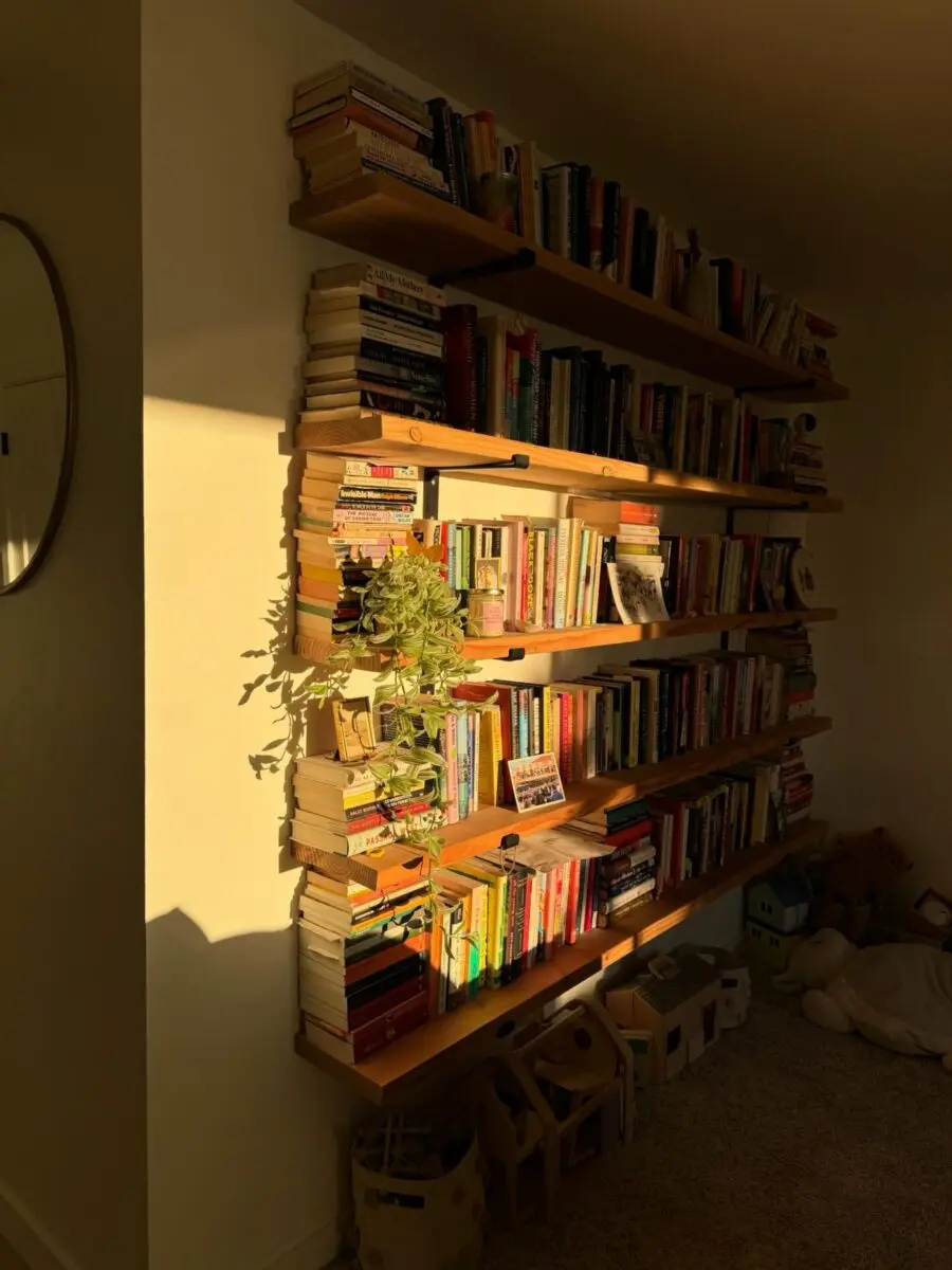 Charming wooden bookshelf with vibrant plants