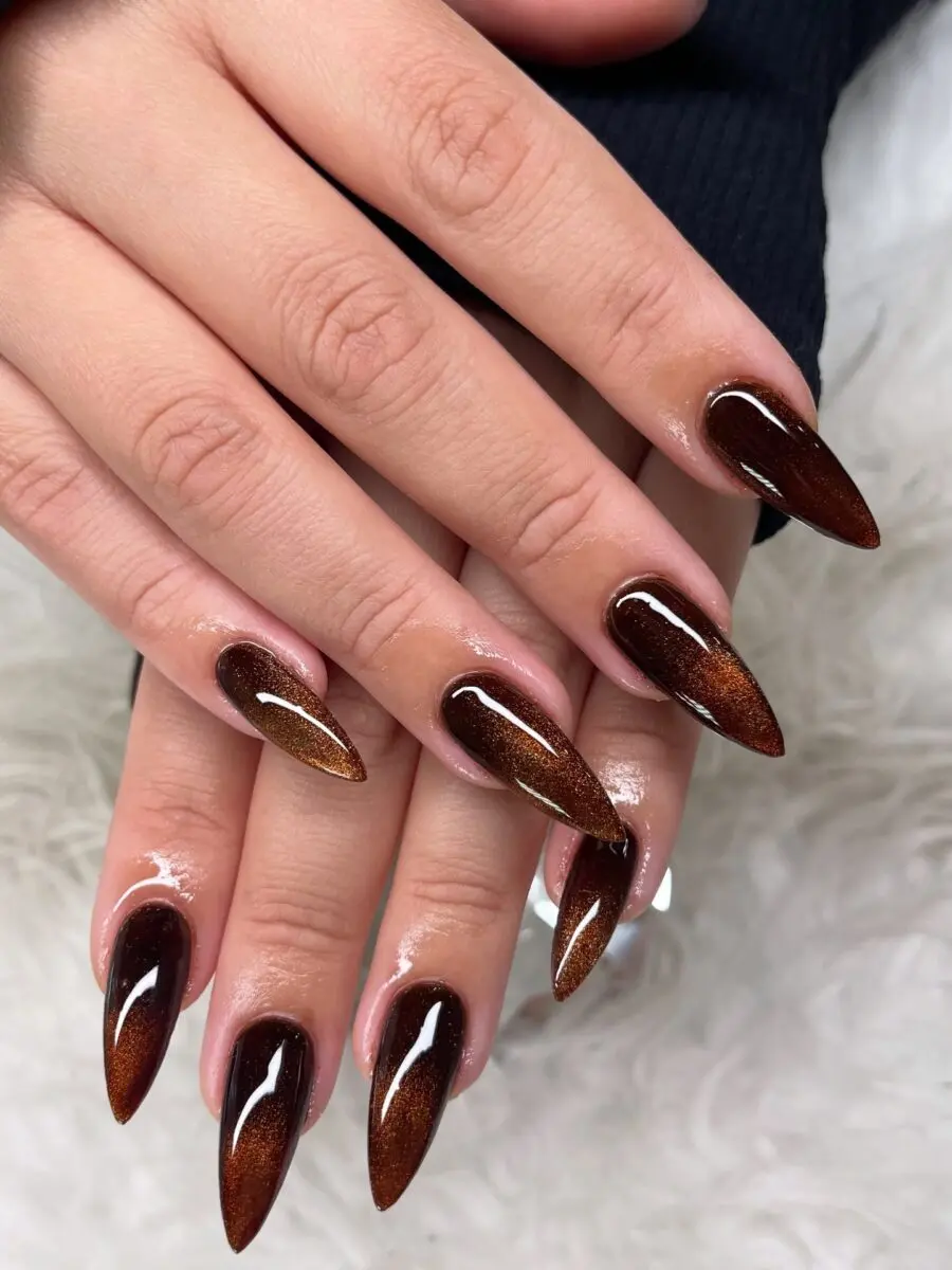Chic Stiletto Nails with Brown Ombre